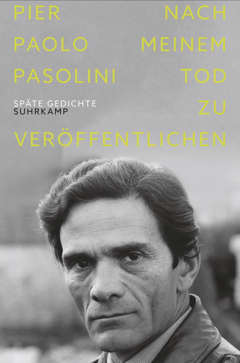 Gedichte von Pier Paolo Pasolini Hans Helmut Prinzler